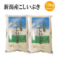 【新米】新潟産こしいぶき10kg(5kgx2袋)令和元年産【送料無料※北海道・四国・...