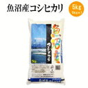 魚沼産コシヒカリ 令和5年産 魚沼産コシヒカリ5kg【送料無料※北海道・四国・九州・沖縄を除く】 お中元 お歳暮 ギフト