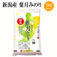 【新米】数量限定【送料無料】令和7年産新米新潟産 葉月みのり 5kg