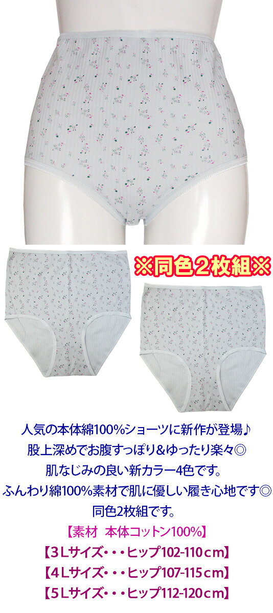 1枚あたり350円から☆2枚組新作3Lから5L...の紹介画像2