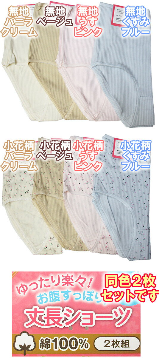 1枚あたり350円から☆2枚組新作3Lから5L...の紹介画像3