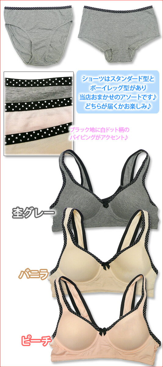 在庫限りショーツ付き【上下合わせて2点セット】...の紹介画像3