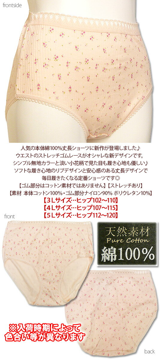 特価3Lサイズのみ【本体綿100％】3Lコットン100％お腹すっぽりショーツ♪小花柄＆無地が選べる綿素材ショーツ♪【レディース 婦人 下着 インナー 大きいサイズ モデルサイズ クイーンサイズ】[春物][夏物][秋物][冬物]