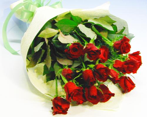 バラの花束 お買い得赤バラ20本の花束 お誕生日 プレゼント ギフト 結婚祝い 記念日 退職祝い 愛妻の日 送料無料 入学 入社 入園 就職 進級 昇進 転勤