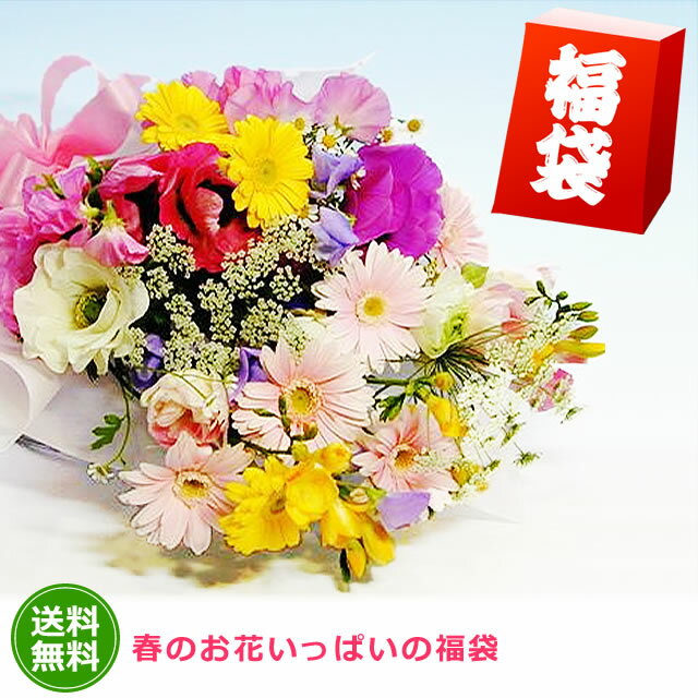 【送料無料】花 ギフト季節の花いっぱいの生花の福袋