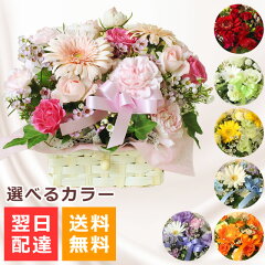 https://thumbnail.image.rakuten.co.jp/@0_mall/anne/cabinet/00157526/sho-a-pastel-02.jpg