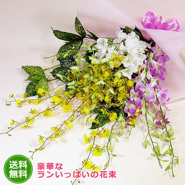 【スーパーSALE期間限定販売】【送料無料】花 ギフト 豪華なランいっぱいの花束 女性 ギフト 花 ギフト 誕生日 プレゼント 記念日 お祝い お見舞い 結婚祝 入学 入社 入園 就職 進級 昇進 転勤