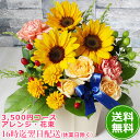 【スーパーSALE期間中2倍】【デザイナー3500円コース】 お誕生日 父の日 花 バラ アレンジ 花束 ひまわり 誕生日 結婚祝い 即日発送 送料無料 誕生日 プレゼント 女性 お祝い 入学 入社 入園 就職 進級 昇進 転勤