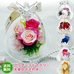 https://thumbnail.image.rakuten.co.jp/@0_mall/anne/cabinet/00157526/sho-df-0115tenshi.jpg