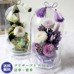 https://thumbnail.image.rakuten.co.jp/@0_mall/anne/cabinet/00157526/sho-df-0126.jpg