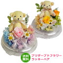 【プリザーブドフラワー ギフト】 【プリザーブドフラワー】【送料無料】アロマの香り ラッキーベア【楽ギフ_メッセ】 送料無料 お祝い 入学 入社 入園 就職 進...