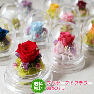 バレンタインデー に枯れないバラ♪全色揃えて 幸運 の 風水 生活を!