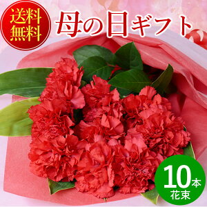まだ間に合う！母の日 プレゼント 花 赤カーネーションの花束10本 送料無料