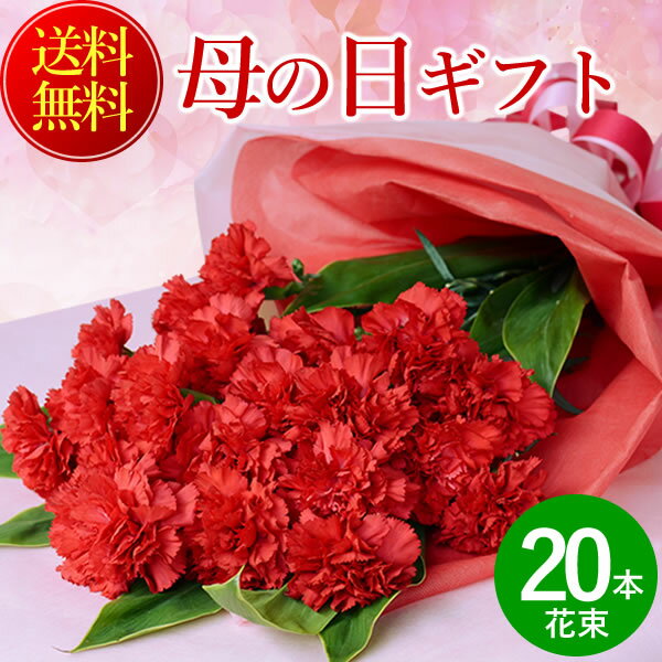 まだ間に合う！ 母の日 プレゼント 花 赤カーネーションの花束20本 送料無料のサムネイル