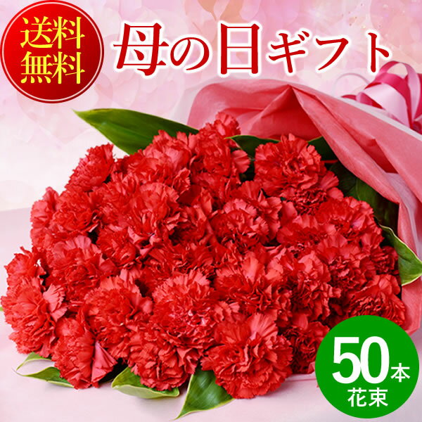 遅れてごめんね！ 母の日 プレゼント 花 赤カーネーションの花束50本 送料無料