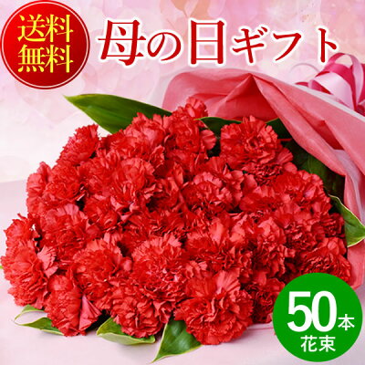 まだ間に合う！ 母の日 プレゼント 花 赤カーネーションの花束50本 送料無料
