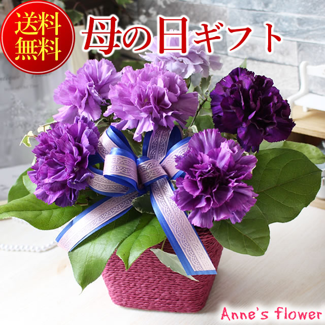 青のカーネーションムーンダストが入ったお花のバスケットアレンジや10本の花束 母の日ギフト 母の日 プレゼント【遅れてごめんね!母の日ギフト 母の日 プレゼント】mother2021【送料無料】青のカーネーションムーンダスト アレンジ 花束