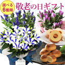 【お買い物マラソン期間中2倍】...