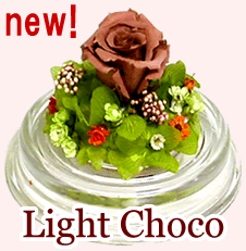 バレンタインデー に枯れないバラ♪全色揃えて 幸運 の 風水 生活を！格安通販　バレンタイン　人気　ランキング