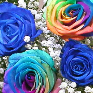 誕生日 ギフト レインボーローズ 虹色のバラと青いバラの夢のブーケ 結婚祝い 結婚記念日 母の日 ギフト プレゼント