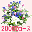 バスケット（フラワーアレンジメント） 【あす楽16時まで受付】誕生日プレゼント 女性 【デザイナーズオーダー】おまかせ20000円コース 【あす楽対応】送料無料バスケットアレンジ 入学 入社 入園 就職 進級 昇進 転勤