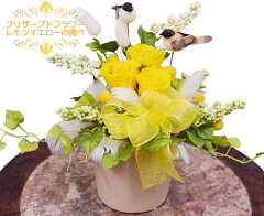 https://thumbnail.image.rakuten.co.jp/@0_mall/anne/cabinet/priza/lemon-yellow01.jpg