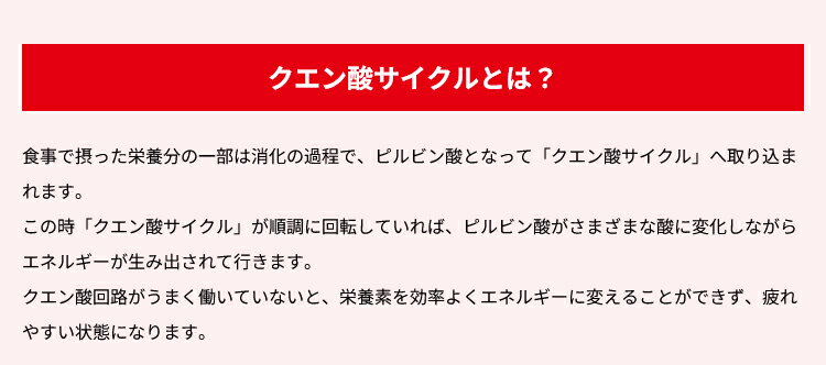 【お買い物マラソンMAX3,500円OFFクーポン発行中!!有効期間：5/23(土)20:00〜5/27(...