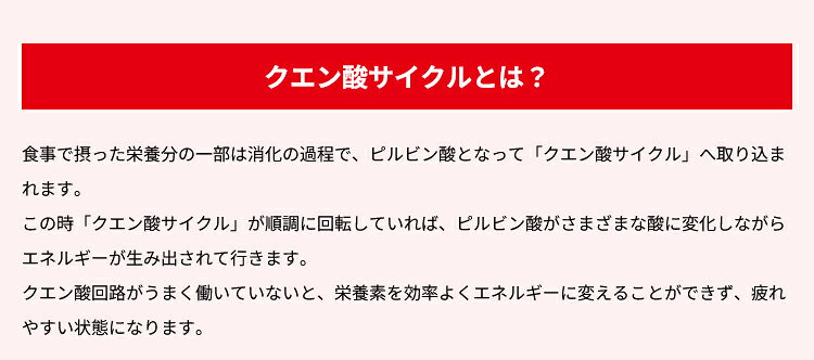 【0のつく日MAX3,000円OFFクーポン発行中!!有効期間:7/29(水)17:00〜7/31(金)07:59...