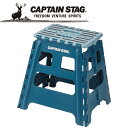 キャプテンスタッグ CAPTAIN STAG アウトドア 折りたためる ステップ L (ブルー) UW1505