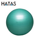 ハタ HATAS バランスボールセイフティー 65cm DB65