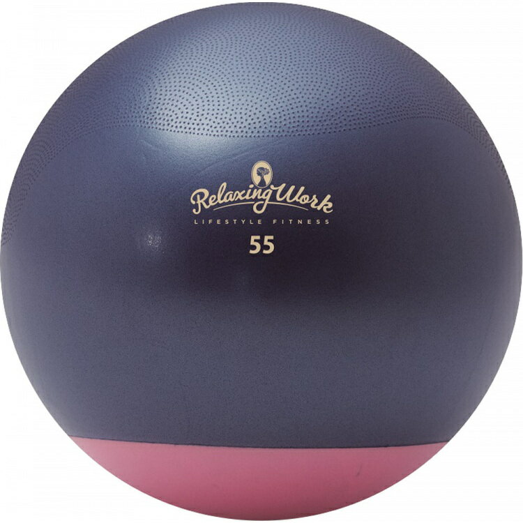 ハタチ HATACHI リクレーション ジムボールStayPlus 55cm NH3620