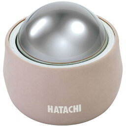 ハタチ HATACHI リクレーション リセットローラーLARGE NH3711