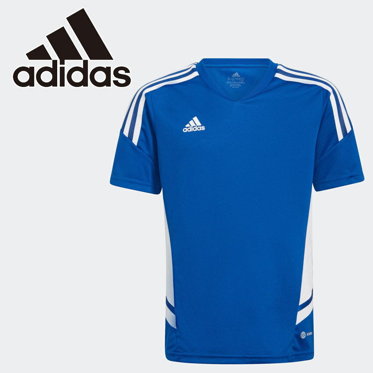 アネックススポーツ ネット注文