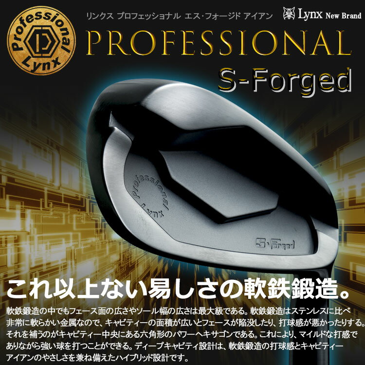 【ブラックフライデーMAX3,000円OFFクーポン発行中!!有効期間:11/20(木)20:00~11/27(木)01:59迄】リンクス ゴルフ プロフェッショナル S フォージド アイアン 6本セット 日本仕様