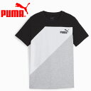 [֔z v[} PUMA POWER TVc 681384-01 WjA