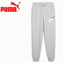 プーマ PUMA POWER グラフィック スウェット パンツ 681401-04 ジュニア