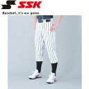 エスエスケイ SSK 野球 ストライプレギュラーパンツ メンズ・ユニセックス UP002R-1070