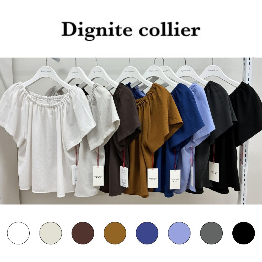 ポイント10倍 【予約】Dignite collier ディニテコリエ 2026 SUMMER COLLECTION 衿ギャザーシフォンブラウス 80268202【2026年5月上旬より順次発送】