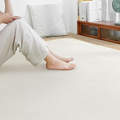 SOMANT ラグ 4畳 カーペット 夏用ラグマット 絨毯 滑り止め付き 防音 厚手 防ダニ 防臭 素肌にやさしい 北欧風 おしゃれ 抗菌 床保護 転倒を防ぐ 床暖房対応 ホットカーペット対応 アイボリー200×300cm