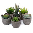 T4U フェイクグリーン 観葉植物 人工観葉植物 人工多肉植物 造花 インテリア 6点入り お世話不要 プレゼント