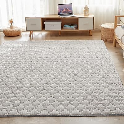 VK Ingeroom カーペット ラグ 極厚25mm ラグマット 2畳 絨毯 厚手 ラグ 滑り止め 防音 洗える フランネルラグ 床暖房 ホットカーペット対応 無地 シンプル 防ダニ 防臭 ラグ 190×190cm ライトグレー