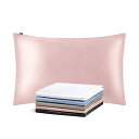 LilySilk(リリーシルク)最高25匁 シルク枕カバー ピローケース 1枚 両面タイプ 美肌 美髪 防ダニ 優しい肌触り 額縁無し 封筒式 洗える【ロージー...