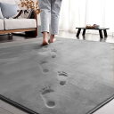 aicomri ラグ カーペット ラグマット 2畳 低反発 厚手15mm 185x185cm 洗える ホットカーペットカバー 床暖房ホットカーペット対応 滑り止...
