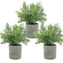 Bacucine フェイクグリーン 観葉植物 フェイク 鉢植え 3個セット ミニ 人工観葉植物 造花グリーン インテリア fake plant 人工グリーン 人...