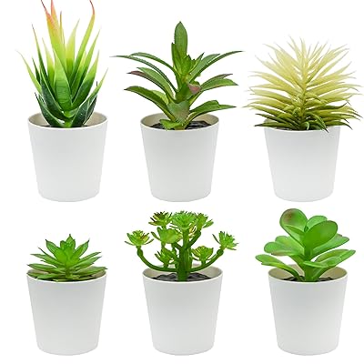 Bacucine 多肉植物 フェイク 6点セット 人工多肉植物 鉢植え 詰め合わせ フェイクグリーン ミニ 鉢付き サボテン フェイク 観葉植物 多肉 造花 おしゃれ 卓上 小型 置物 インテリア プレゼント (グリーン)