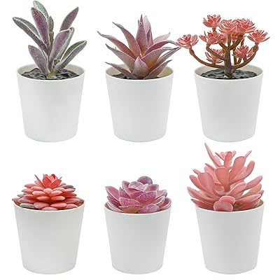 Bacucine 多肉植物 フェイク 6点セット 人工多肉植物 鉢植え 詰め合わせ フェイクグリーン ミニ 鉢付き サボテン フェイク 観葉植物 多肉 造花 おしゃれ 卓上 小型 置物 インテリア プレゼント (パープル フロッキング)