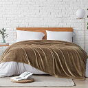Hansleep 毛布 もうふ 冬用 ダブル ブランケット 大きめ 200x220cm 大判 キャメル マイクロファイバー 柔らかく 肌触り フランネル 洗える 軽量 静電防止 四季適用 (200x220,キャメル)