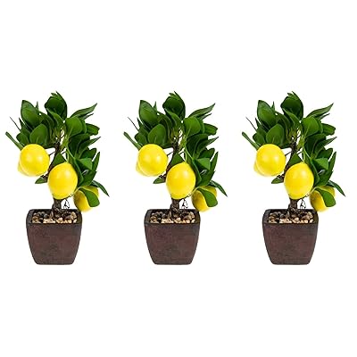 NUOLUX レモン盆栽 人工観葉植物 3個セット 卓上 玄関 シミュレーション 鉢植え 人工の植物 フェイクレモンフルーツプラント にせレモンの木 ミニ人工レモンの木 人工のレモンの木 レモンの鉢植え 人工のレモンの装飾 フォーム