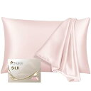 Warmstar シルク 枕カバー 6A クラス シルク100% 22匁 片面シルク ピローケース 43x63cm 洗える 封筒式 抗菌防臭 まくらカバー 美肌...