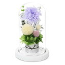 プリザーブドフラワー 供花 お供え 仏花 SENJWARM お悔み 喪中 花 お悔やみ お盆 法事 プリザーブドフラワー 仏壇用 お花 枯れない 花 一周忌 四十九日 お彼岸 新盆 初盆 お彼岸 法事 ペット ケース入り 仏花ドーム想令花 【お供】の